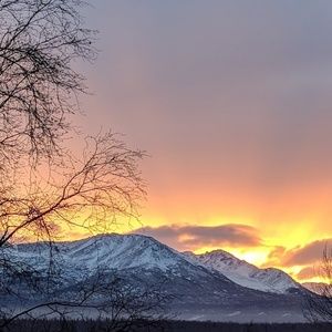 Meet your Posher, Carmen